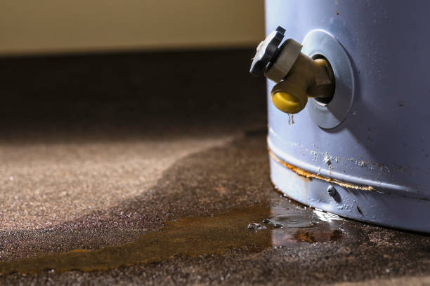Best Water damage contractors near me  in Bealeton, VA
