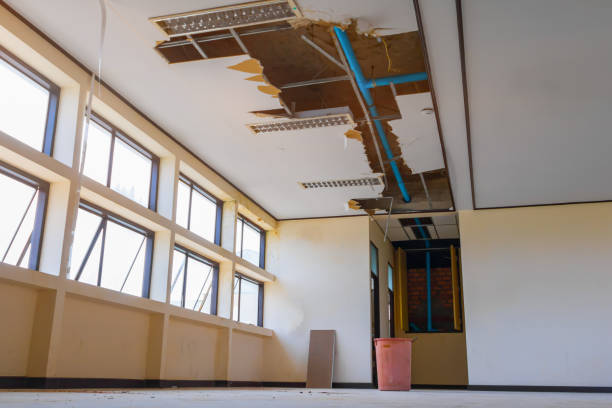 Best Sewage cleanup and water damage restoration  in Bealeton, VA