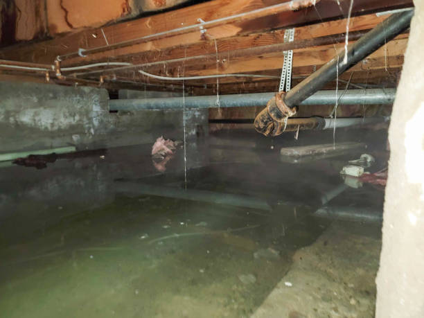  Bealeton, VA Water damage restoration Pros