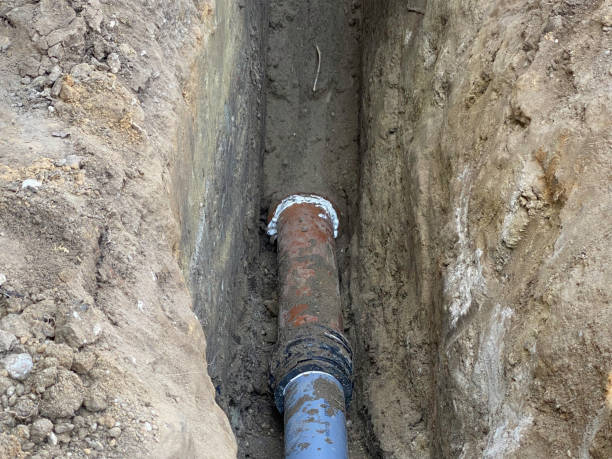 Best Flood damage cleanup  in Bealeton, VA