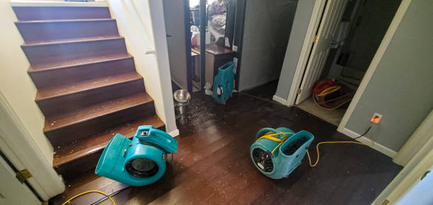 Best Water damage contractors near me  in Bealeton, VA