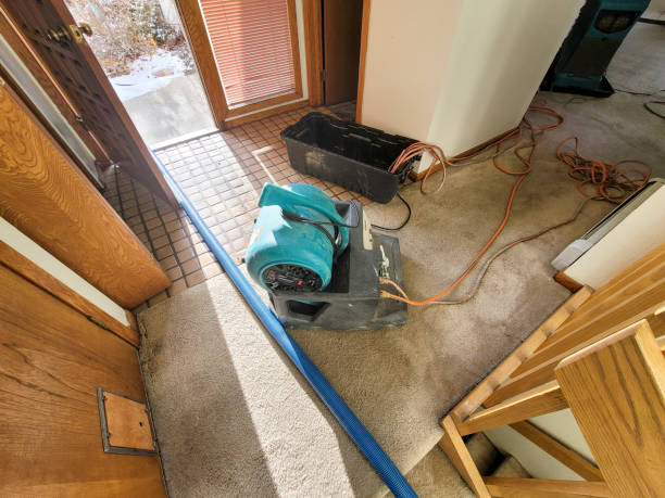 Best Water damage cleanup near me  in Bealeton, VA