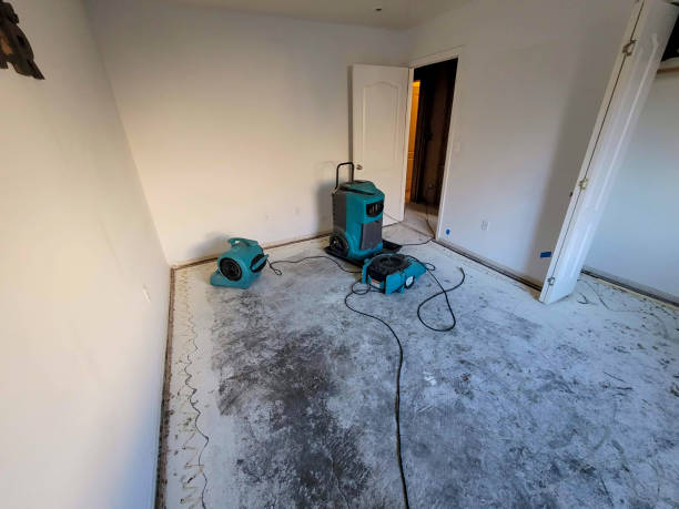 Best Water damage restoration near me  in Bealeton, VA