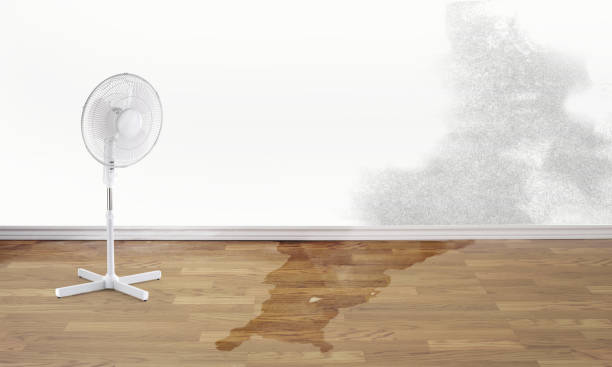 Best Emergency water damage restoration  in Bealeton, VA