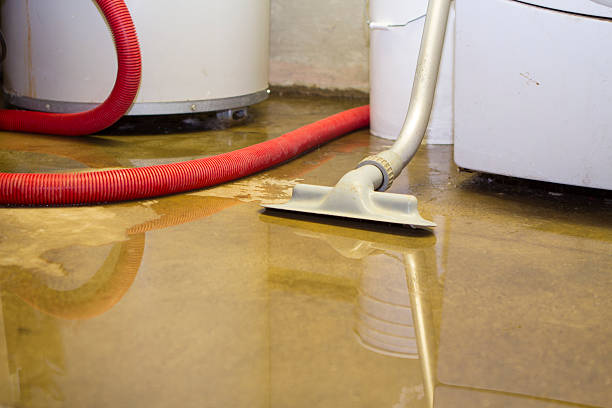 Best Local water damage restoration  in Bealeton, VA