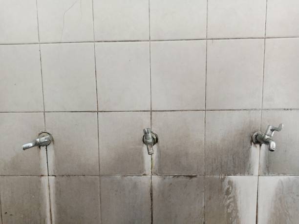 Best Water damage restoration near me  in Bealeton, VA