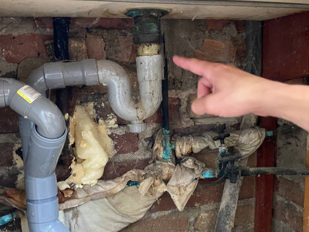 Best 24/7 water damage repair  in Bealeton, VA
